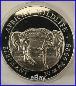 10oz Silver 2020 Somali Elephant Coin With Capsule