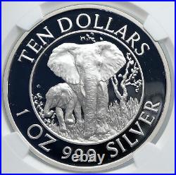 1996 ZIMBABWE Wildlife ELEPHANTS AFRICAN OLD Silver 10 Dollar Coin NGC i89218