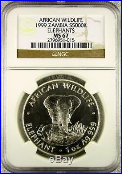 1999 Zambia Elephant Silver Coin NGC MS67