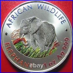 2000 ZAMBIA 5000 KWACHA 1oz SILVER AFRICAN ELEPHANT COLORIZED WILDLIFE RARE COIN