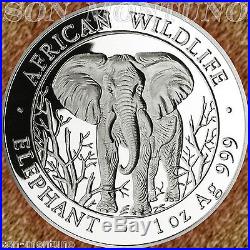 2004 SOMALIAN African Wildlife ELEPHANT 1 OZ Silver BU Coin FIRST YEAR KEY DATE