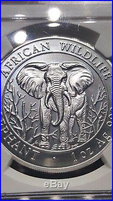 2004 Somalia elephant 1oz silver NGC MS69 Beauty coin No Spots African Wildlife