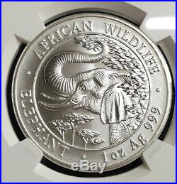 2005 SOMALIA African Wildlife ELEPHANT 1 OZ Silver Coin HARD KEY DATE NGC MS69