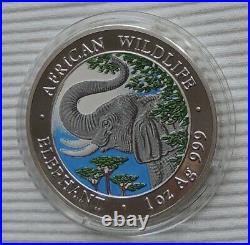 2005 Somalia Elephant 1 oz silver 999 color coin African Wildlife Somali Elefant