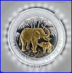 2007 Gilt Somalia Silver 100 Shillings African Wildlife Elephant Ngc Ms 69