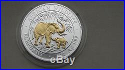 2007 Somalia Elephant Gold Gilded Silver BU coin