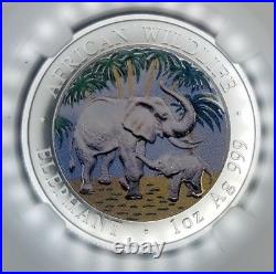 2007 Somalia Silver S100s African Wildlife Elephant Colorized Ngc Ms 69