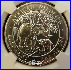 2007 Somalia elephant NGC MS68 Silver 1oz Very low mintage! Beautiful elephant