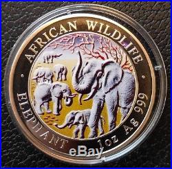 2008 African Wildlife Elephant Colourized 1 oz Silver Coin Somalia