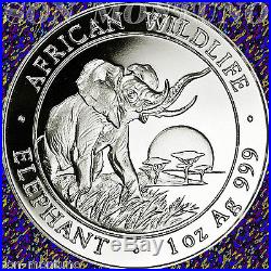 2009 SOMALIA African Wildlife ELEPHANT 1 Troy Oz. 999 Silver NOT PERFECT COIN
