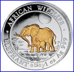 2011 Somalia Elephant 100 Shillings Solid. 999 Silver Gold 1oz Coin
