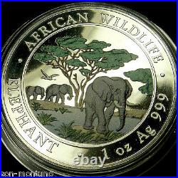 2012 SOMALIAN ELEPHANT COLORIZED African Wildlife 1 Oz Silver NOT PERFECT COIN