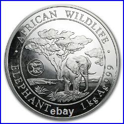 2012 Somalia 1 kilo Ag African Elephant Dragon Privy (Scruffy) SKU#169354