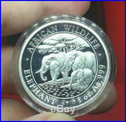 2013 1oz African Elephant High Relief Proof Silver Coin 1,000 Mintage