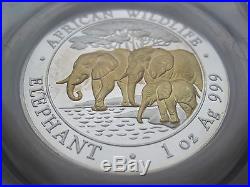 2013 1oz Silver 100 Shilling Somalia Elephant Coin CGS97 With Gold highlighting