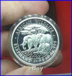 2013 1oz Silver Coin African Wildlife Somalian Elephant High Relief Proof