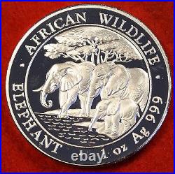 2013 African Wildlife Elephant Series design 1 oz. 999 Silver Bullion Coin