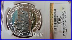 2013 Colorize Somalia 100 Shillings African Elephant. 999 Silver Coin NGC PF69