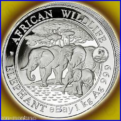 2013 KILO Somalian African Wildlife Elephant SNAKE PRIVY Silver Coin 500 MINTED