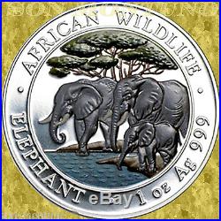 2013 SOMALIA African Wildlife ELEPHANT 1 OZ COLORED Silver Coin ONLY 5000 MINTED