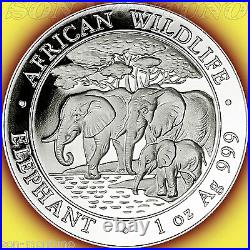 2013 SOMALIA African Wildlife ELEPHANT 1 Troy OZ. 999 Silver BU Coin in Capsule
