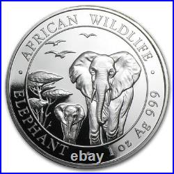 2013 Somalia Africa Wildlife Elephant Sterling Silver 1Oz Coin With Warranty Cap