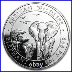 2013 Somalia Africa Wildlife Elephant Sterling Silver 1 Oz Coin With Warranty Ca