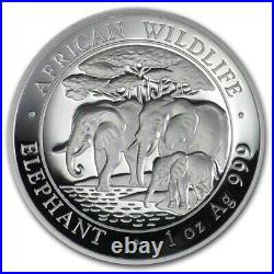 2013 Somalia Elephant 1oz. 999 High-relief Proof Silver Coin new in case & COA