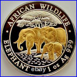 2013 Somalia Elephant African Wildlife 1 Oz. 999 Gold Gilded Silver Coin