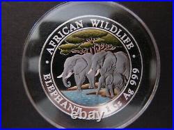 2013 Somalia Elephant African Wildlife 1 Oz Colored Pure Silver BU Coin