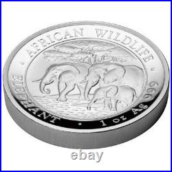 2013 Somalia Elephant High Relief African Wildlife proof Silver coin with box COA