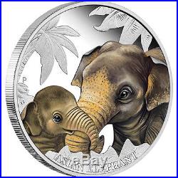 2014 Mother's Love Asian Elephant 1/2oz Silver Proof Coin
