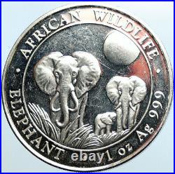 2014 SOMALIA REPUBLIC Elephant African Wildlife Proof Silver 100Sh Coin i100696