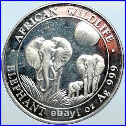 2014 SOMALIA REPUBLIC Elephant African Wildlife Proof Silver 100Sh Coin i100726