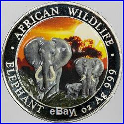 2014 Somalia 100 Shillings Colorized Elephant At Sunset Silver Unc 076/100 (mr)