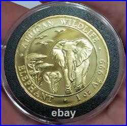 2015 1 Oz Silver 100 Shillings SOMALIAN ELEPHANT Coin WITH 24K GOLD GILDED