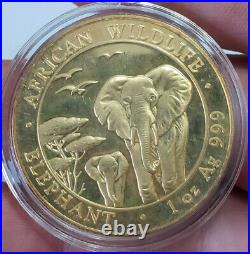 2015 1 Oz Silver 100 Shillings SOMALIAN ELEPHANT Coin WITH 24K GOLD GILDED