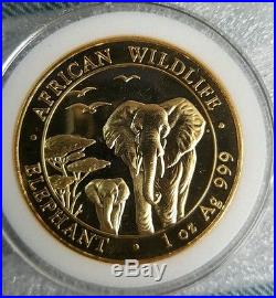 2015 1 Oz Somalia Elephant 24K Gold Gilded 999.9 Fine Silver Coin