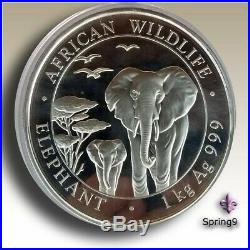 2015 1 kilo Silver Somalia Elephant BU Coins Spring9 Mint Condition in Capsule