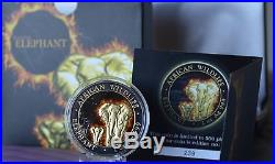2015 Burning Somalia Elephant, Eclipse Sun Panda & Burning Libertad Silver Coins