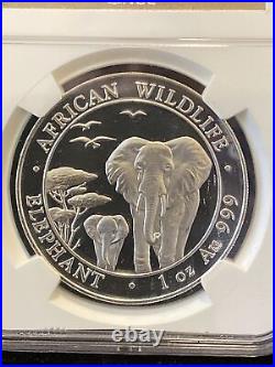 2015 SOMALIA Elephant Silver 100S Coin MULE withGold Obverse Error NGC MS69
