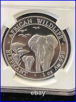 2015 SOMALIA Elephant Silver 100S Coin MULE withGold Obverse Error NGC MS69