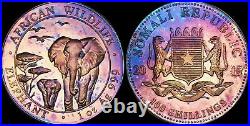 2015 SOMALI REPUBLIC 1oz AFRICAN ELEPHANT 100 SHILLINGS BLUE/PURPLE TONED