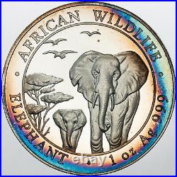 2015 Somalia 100 Shillings African Wildlife Elephant 1 Oz Silver Toned Bu (mr)