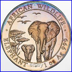 2015 Somalia 100 Shillings African Wildlife Elephant 1 Oz Silver Unc Gem (mr)