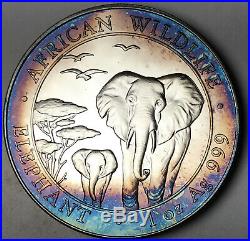 2015 Somalia 100 Shillings African Wildlife Elephant. 999 Silver Blue Toned (dr)