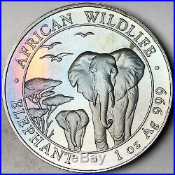 2015 Somalia 100 Shillings African Wildlife Elephant. 999 Silver Deep Toned (dr)