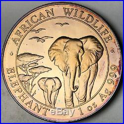2015 Somalia 100 Shillings African Wildlife Elephant. 999 Silver Toned Unc (dr)