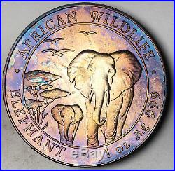 2015 Somalia 100 Shillings African Wildlife Elephant. 999 Silver Unc Toned (dr)