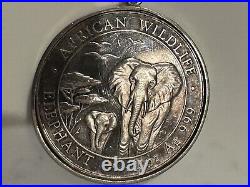 2015 Somalia 1 oz 999 silver African Elephant Coin Custom Bezel Prong Pendant
